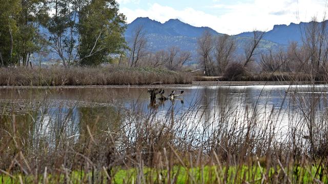 Area photo · Chico, CA · not the practice