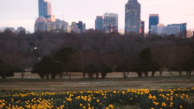 Area photo · Raleigh, NC · not the practice
