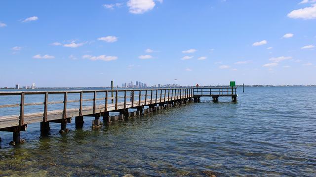 Area photo · Tampa, FL · not the practice